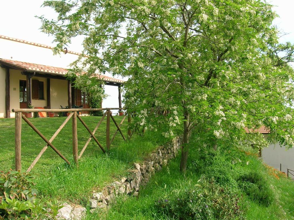 Casa Vacanze La Venarella Sorano  Room photo